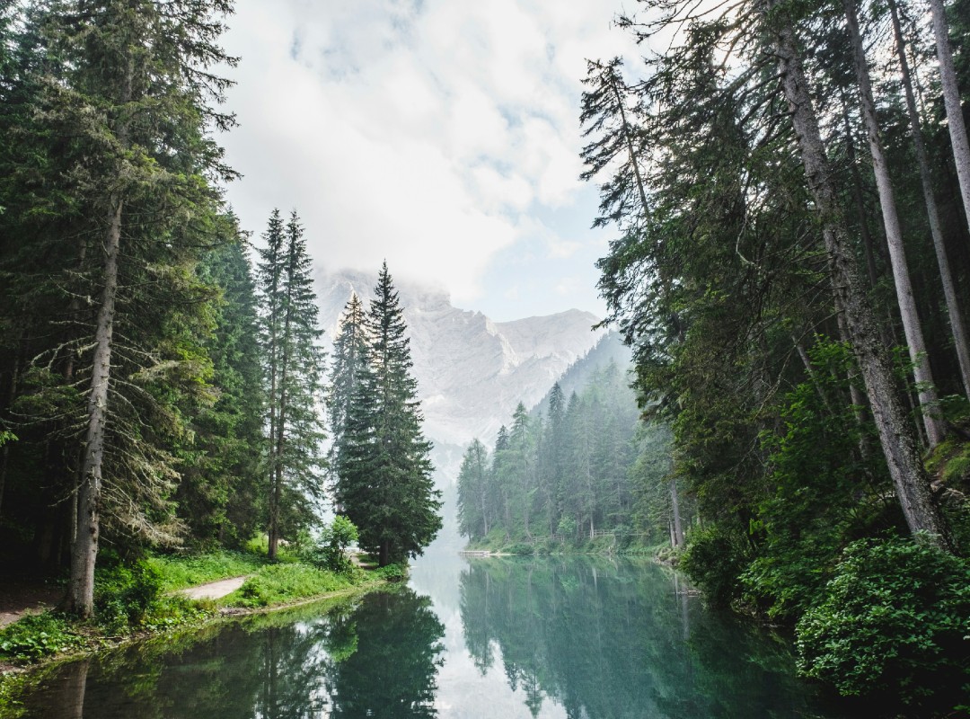 Nature (1) Nature (1)