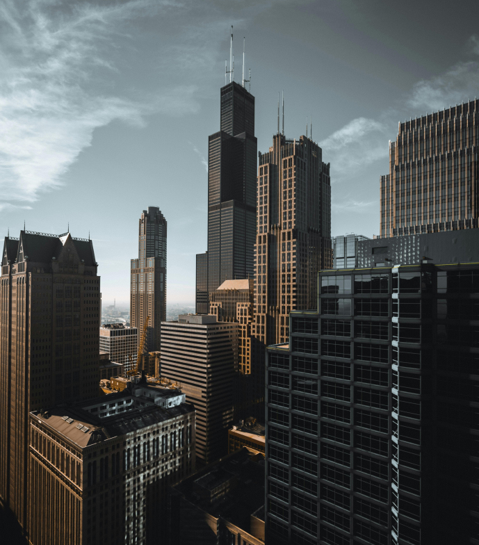 Why Sapience Matters